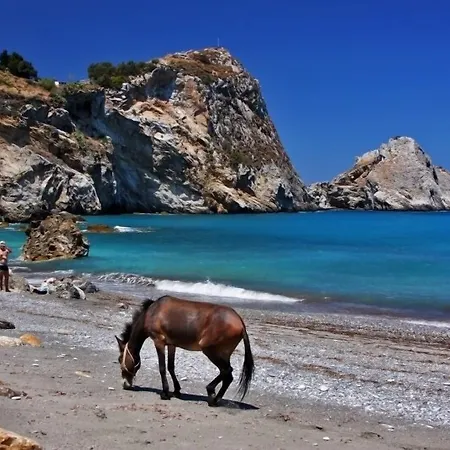 Skiathos Club & Vassilias